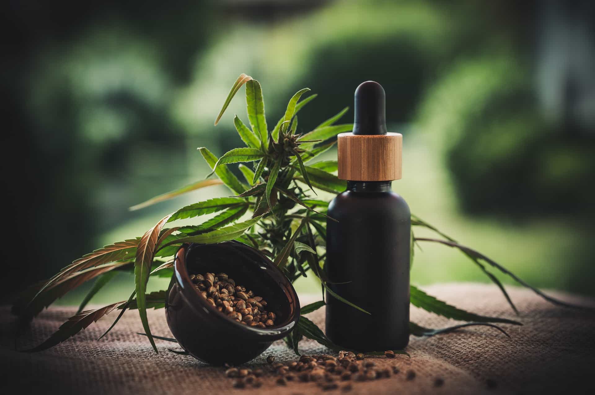 Legalizacija kanabisa u medicinske svrhe