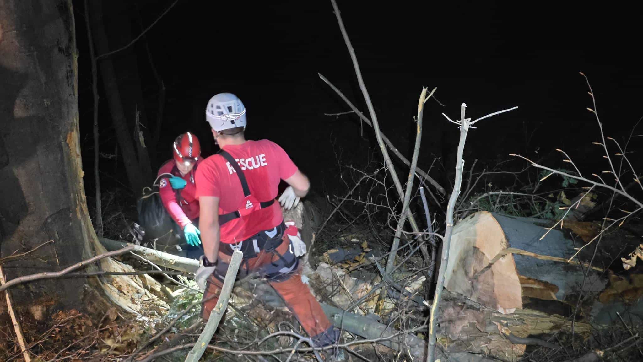 Mladić smrtno stradao izvodeći šumske radove kod Žepča