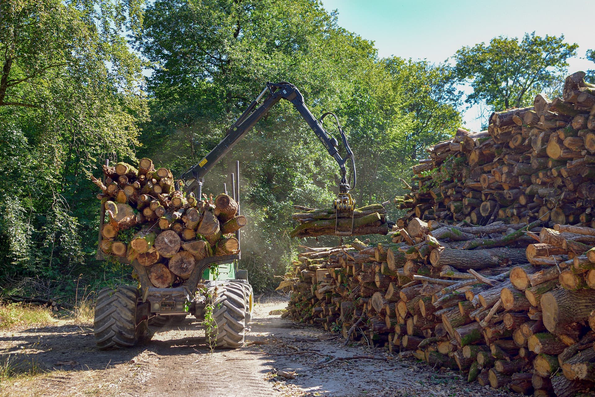 Aktiviranje plana za suzbijanje šumskih krađa na području ZDK