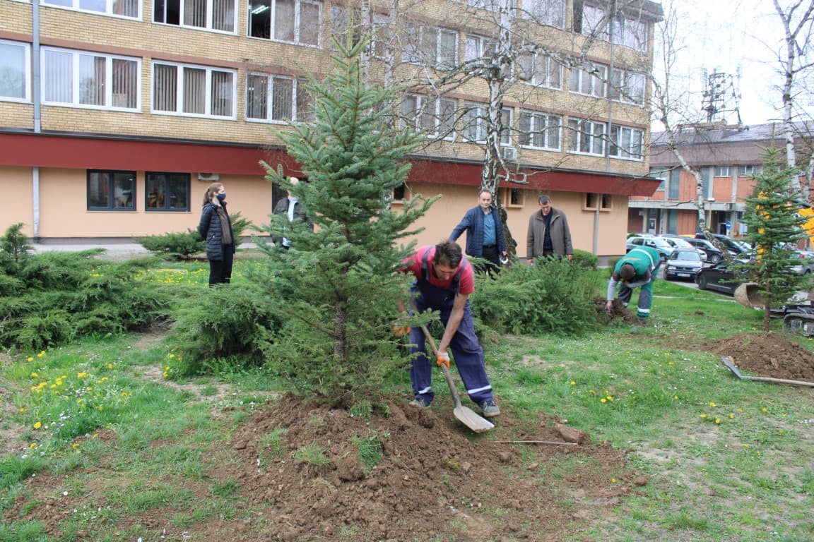 Zasađene sadnice u urbanoj zoni Zavidovića