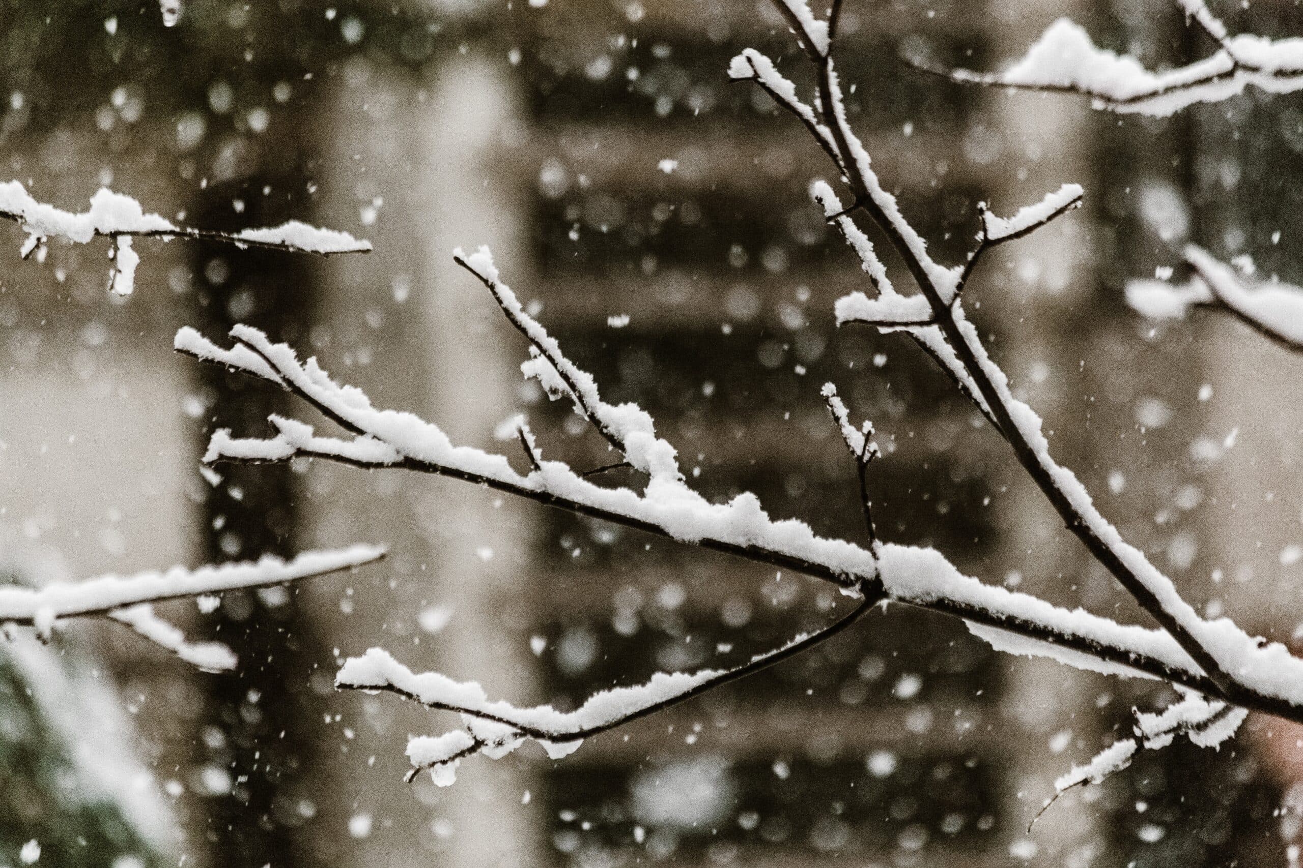 Izdato narandžasto upozorenje za cijelu BiH zbog niskih temperatura