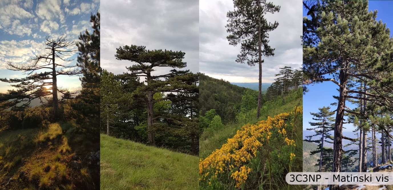 Projekat “3 grada, 3 parka prirode” postoje novi turistički brend
