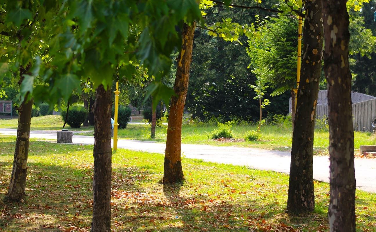 Prognoza vremena: Sunčani dani pred nama