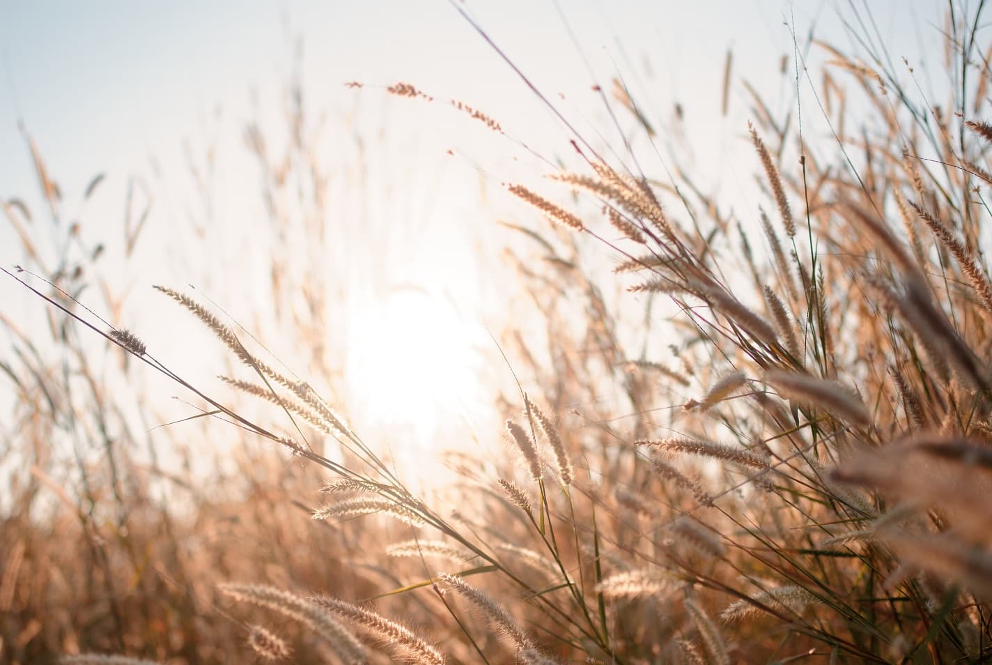 Prognoza vremena: Pretežno sunčano vrijeme u sedmici pred nama