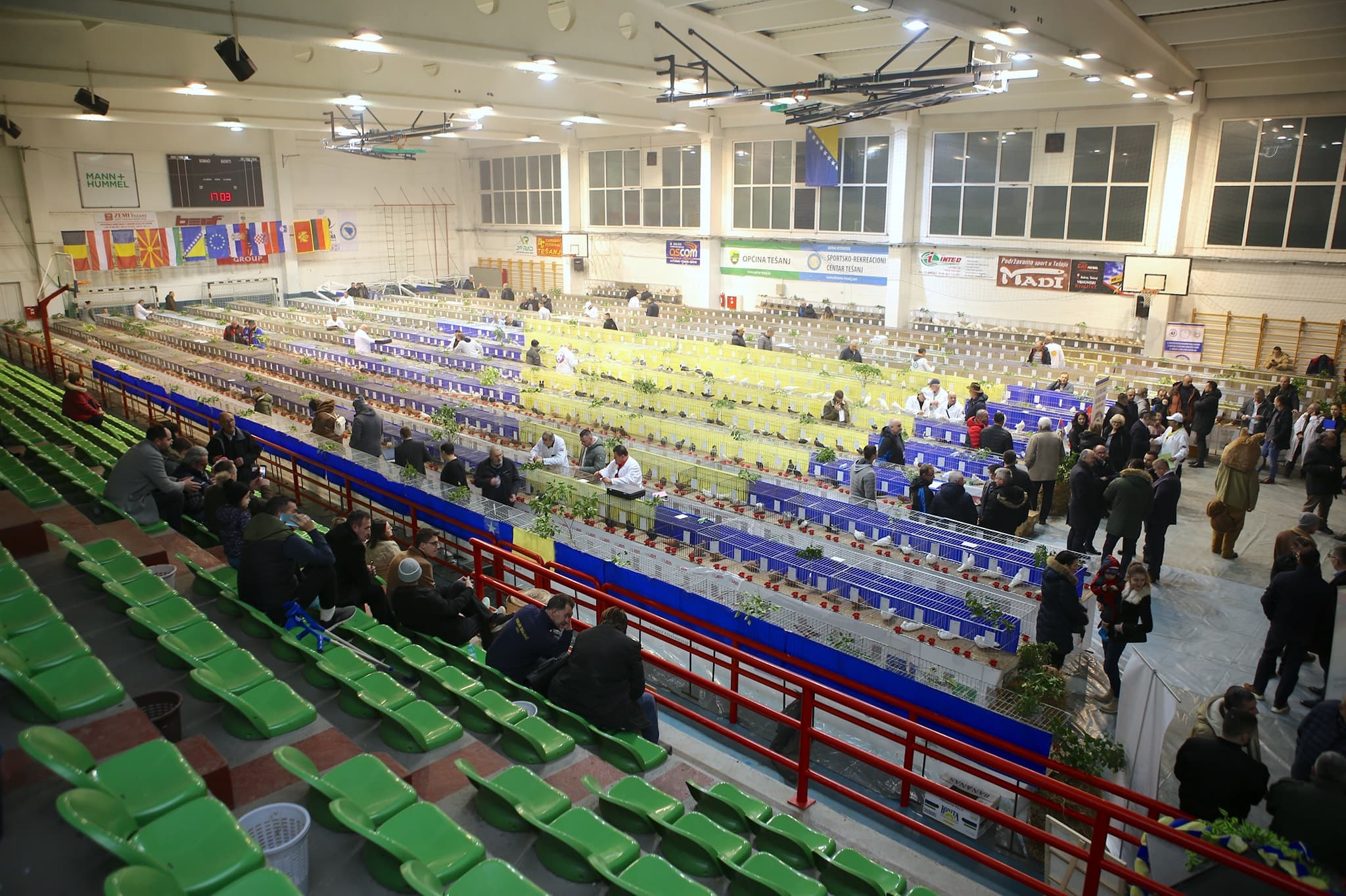 U Tešnju održana 14. državna izložba sitnih životinja i 5. evropska izložba balkanskih rasa golubova