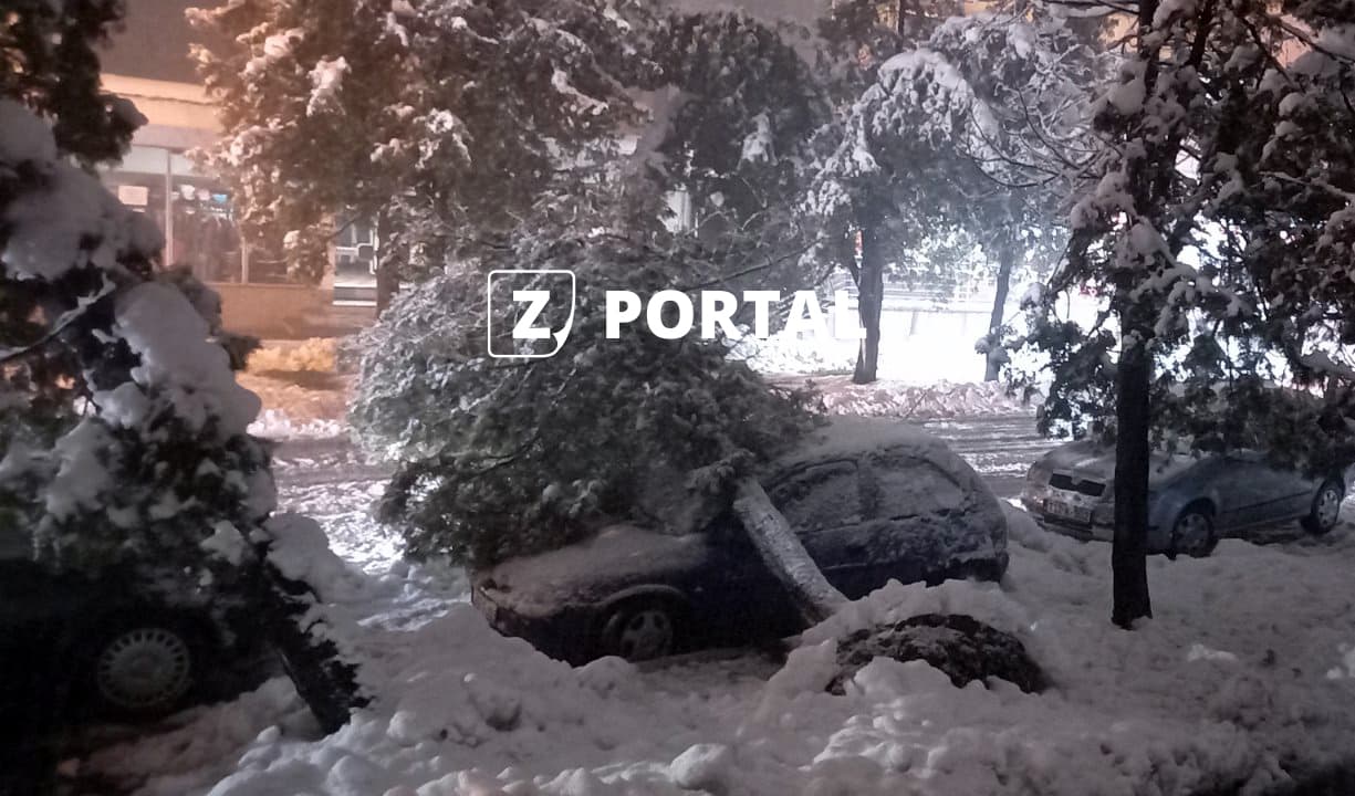 Drvo se srušilo na parkirano vozilo u Zavidovićima