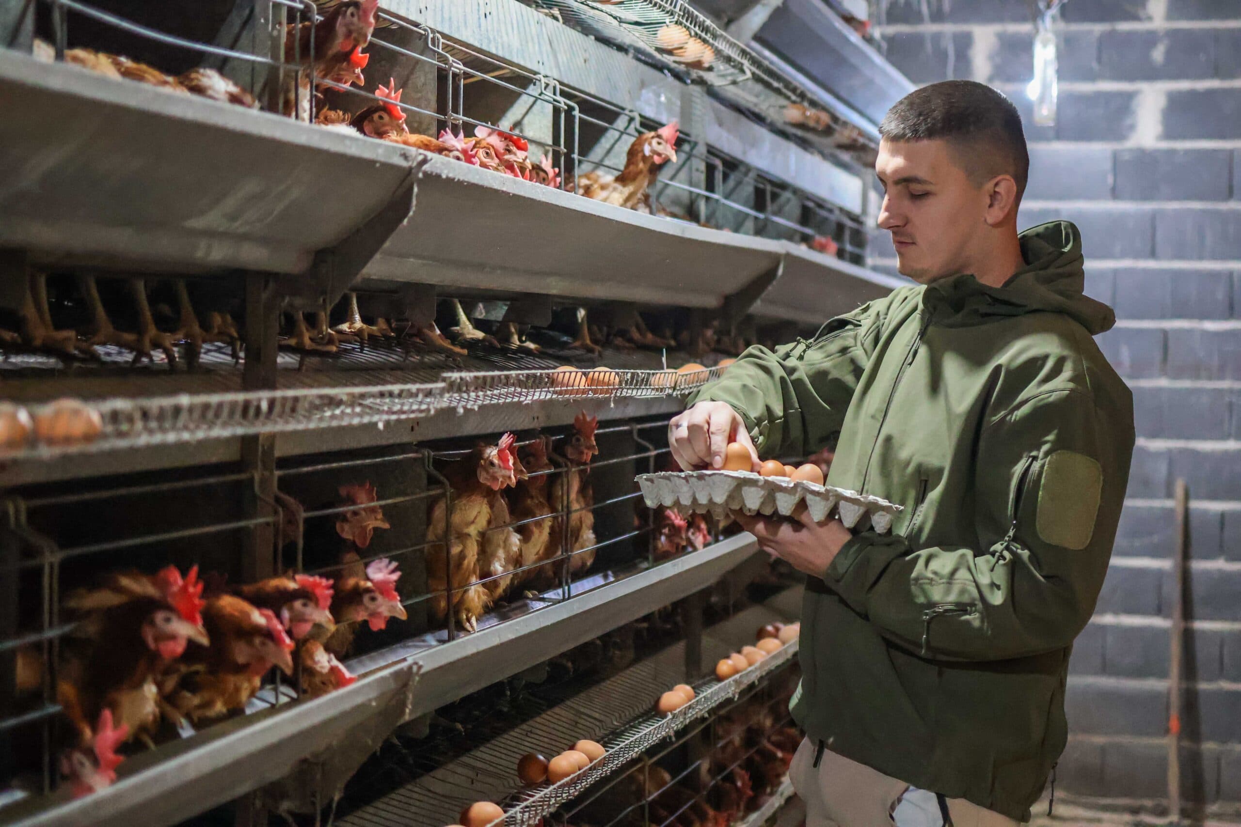 Zlatna koka: Kada hobi postane poslovni poduhvat