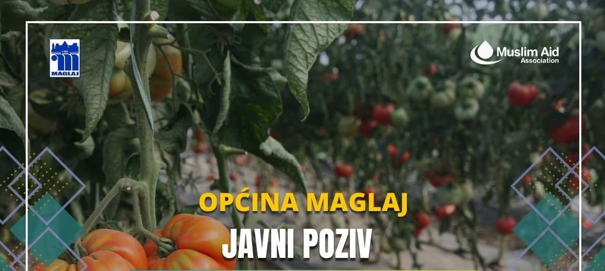 Javni poziv za dodjelu plastenika stanovnicima općine Maglaj