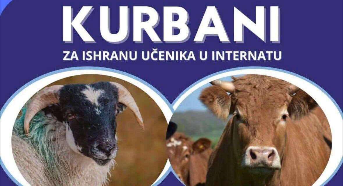 Priključite se akciji klanja kurbana za potrebe đačkog doma i socijalno ugroženih porodica