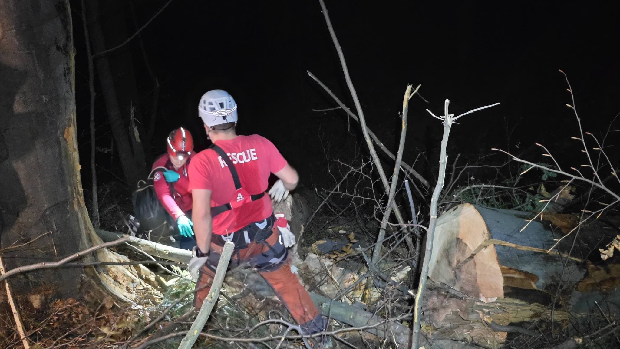 Mladić smrtno stradao izvodeći šumske radove kod Žepča